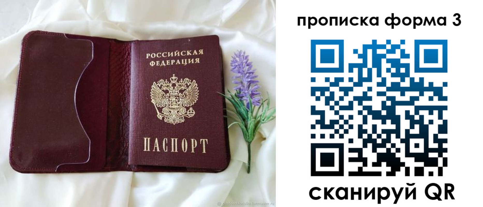 прописка 2025 в Ряжске